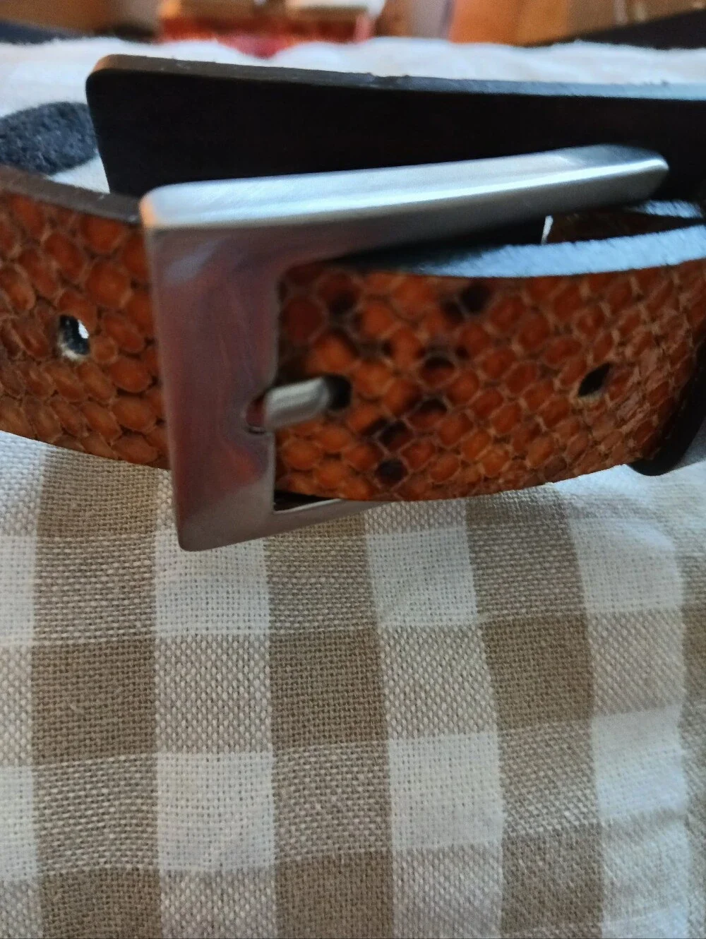 Just Cavalli Snake Print Leather Belt Made In Italy NWOT Suze 95/110